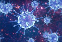 Nuovo esame per la misurazione degli anticorpi neutralizzanti Covid-19