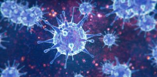 Nuovo esame per la misurazione degli anticorpi neutralizzanti Covid-19